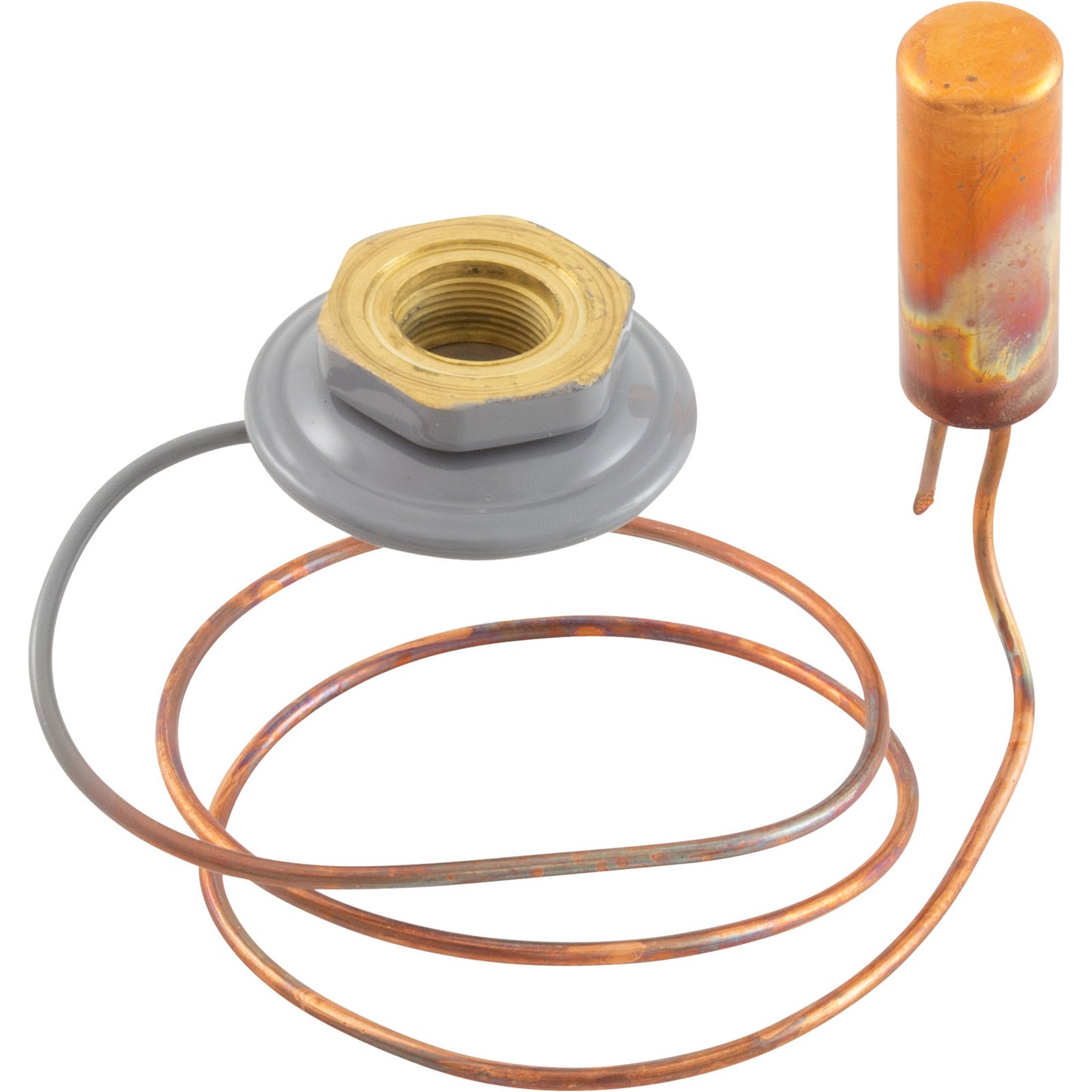 Repl Thermostatic Elemnt Kt-45-Zga