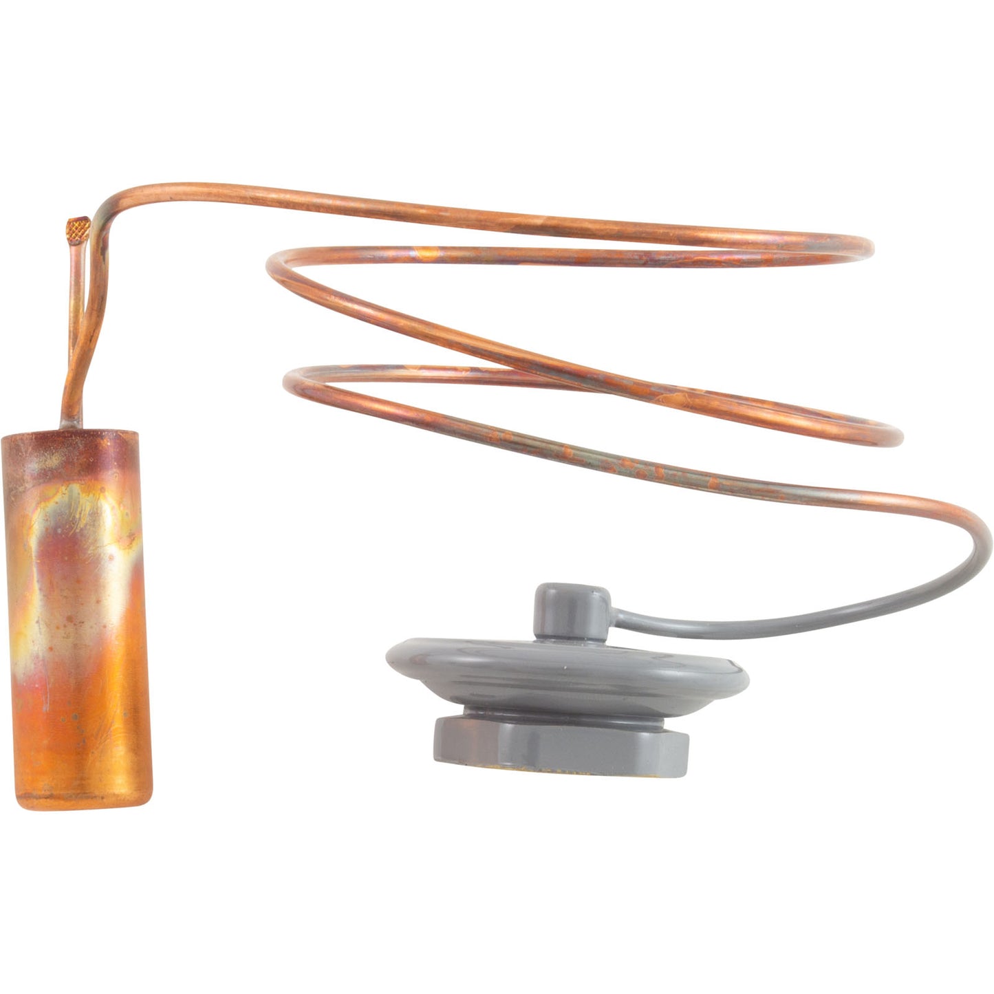 Repl Thermostatic Elemnt Kt-45-Zga