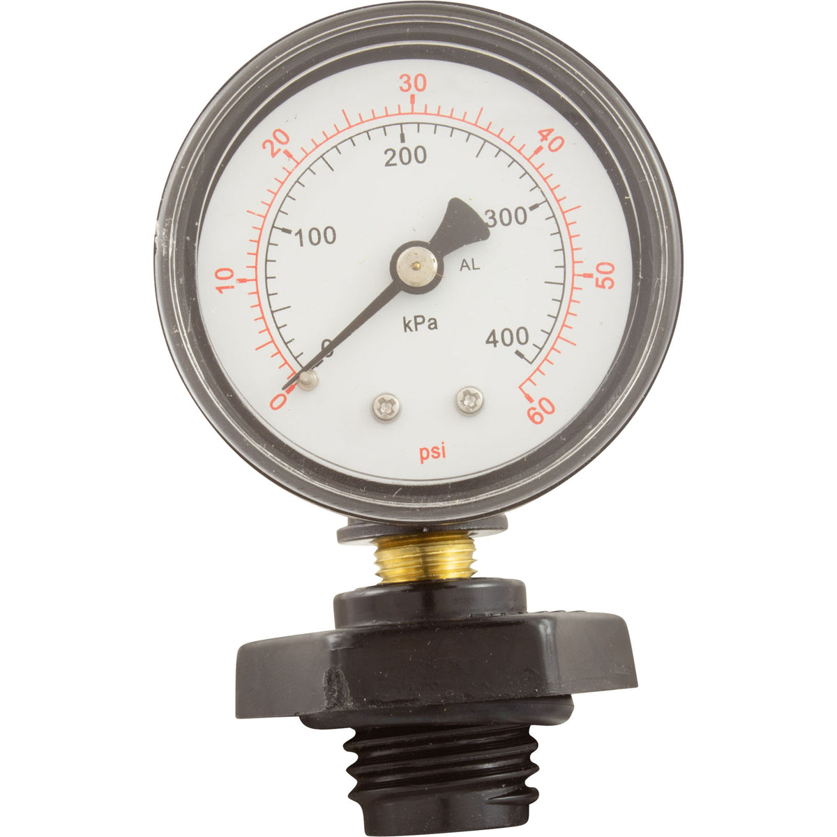 Pressure Gauge Assembly, Pentair, System 3, 1/4"mpt, 0-60psi, Back MT