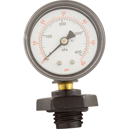 Pressure Gauge Assembly, Pentair, System 3, 1/4"mpt, 0-60psi, Back MT