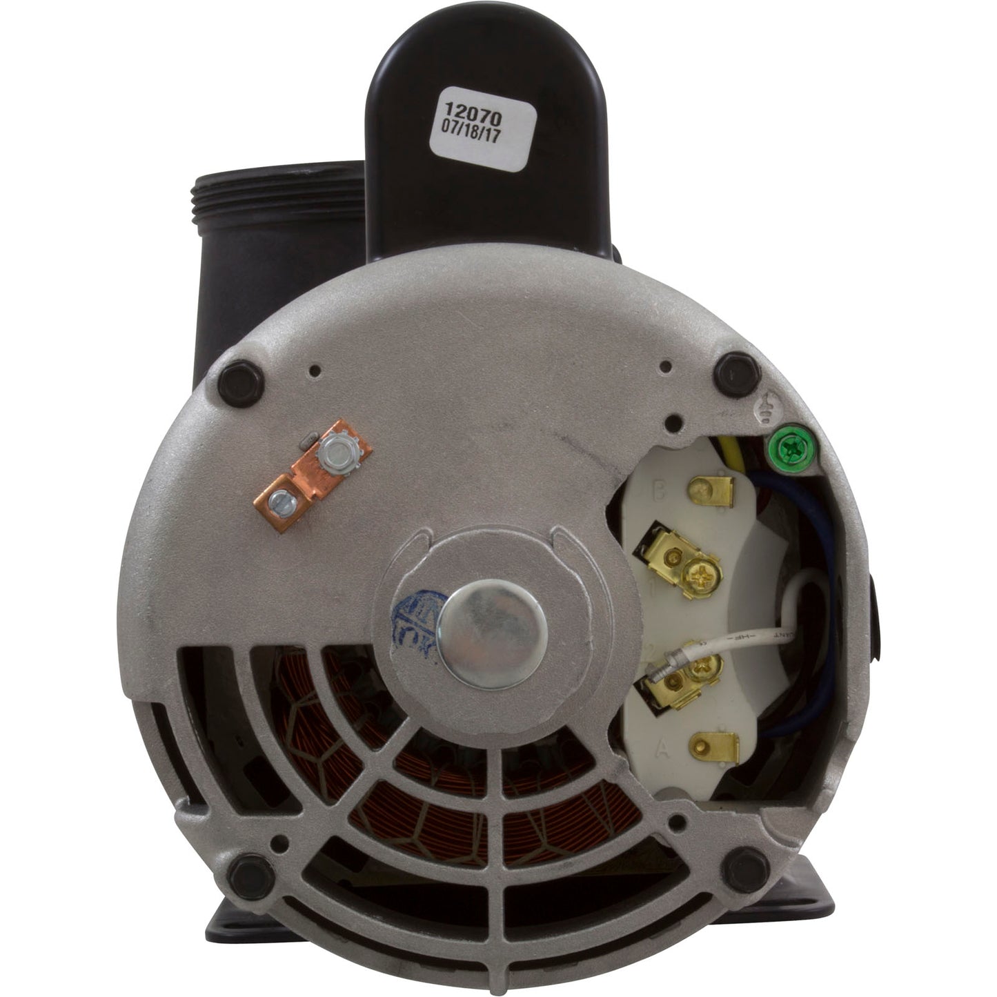 Bomba, WW Viper, 5,0 hp, 230 V, 1 velocidad, 56 fr, 2-1/2" x 2-1/2", OEM