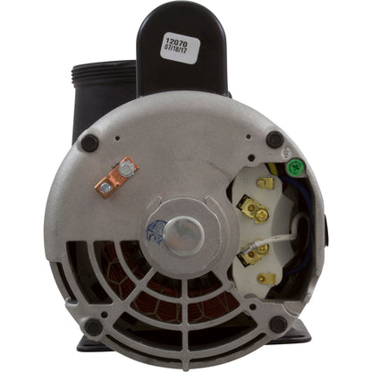 Bomba, WW Viper, 5,0 hp, 230 V, 1 velocidad, 56 fr, 2-1/2" x 2-1/2", OEM