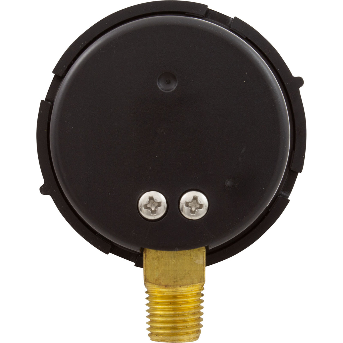 Pressure Gauge, Pentair, 1/4"mpt, 0-60psi, Bottom Mount, Adj Face