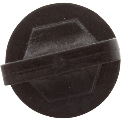 Drain Plug, LX, 1/4" MPT, Plastic