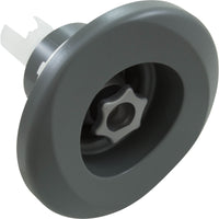 Jet Intl, Jacuzzi PowerPro LX, 5-1/4"fd, Roto, Gry, w/ Ring