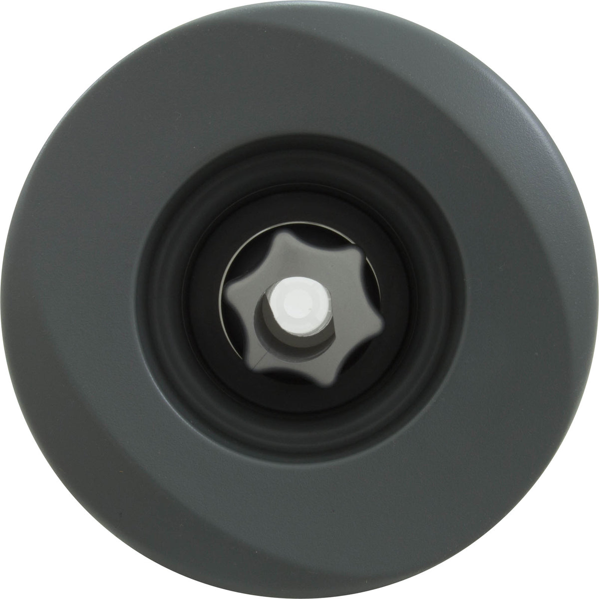 Jet Intl, Jacuzzi PowerPro LX, 5-1/4"fd, Roto, Gry, w/ Ring