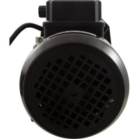 Pompe, bain, CMP Nexxus, 115 V, 1-1/2" MBT, 12,0 A, cordon Nema, OEM, AS