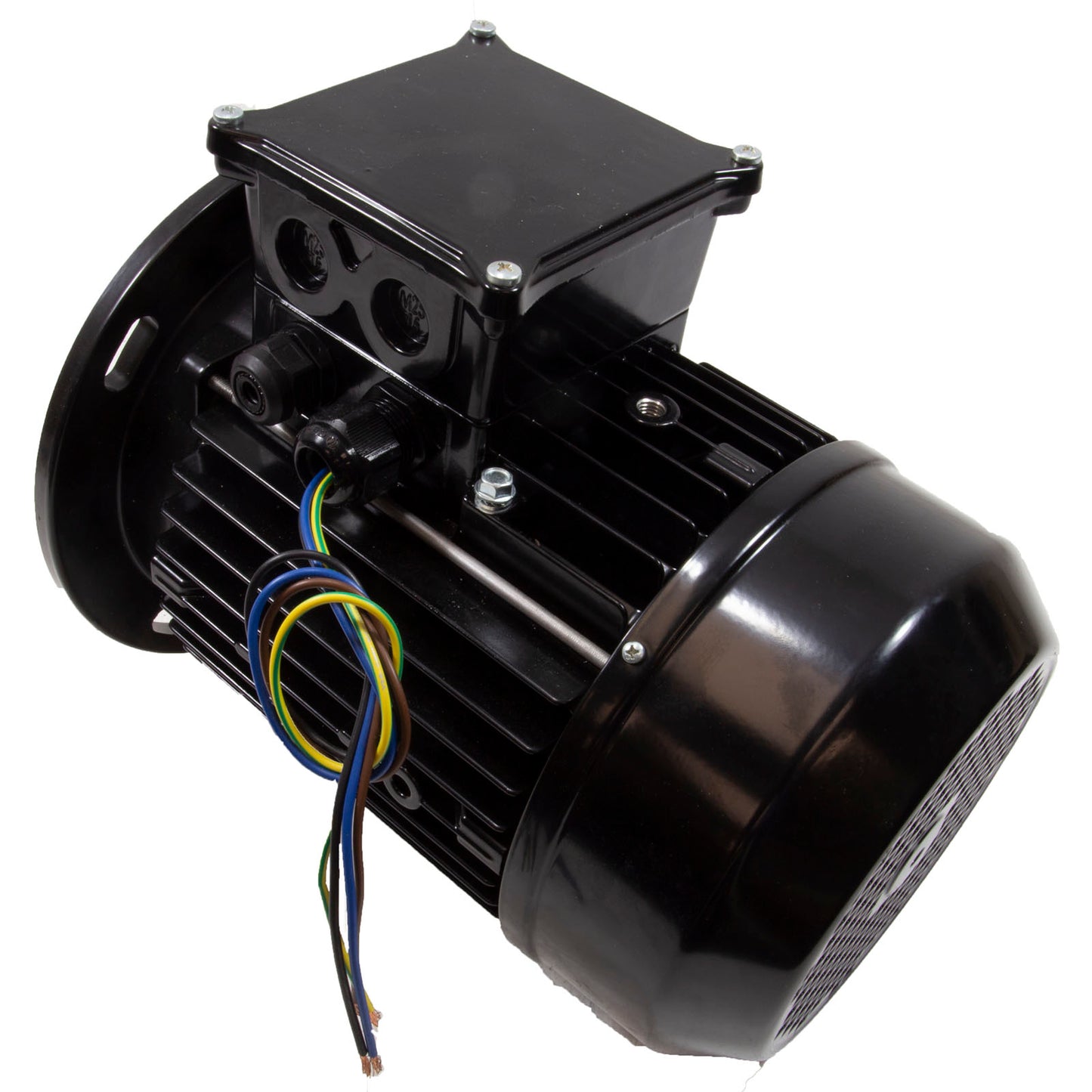 Motor, Hayward, 5.5 Horsepower, 1 Speed, HCP55