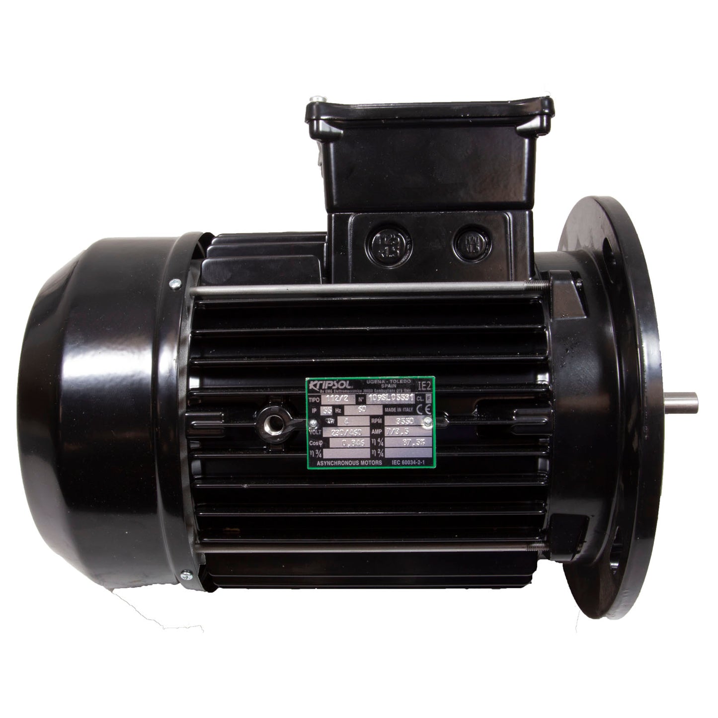 Motor, Hayward, 5.5 Horsepower, 1 Speed, HCP55