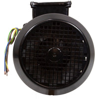 Motor, Hayward, 5.5 Horsepower, 1 Speed, HCP55