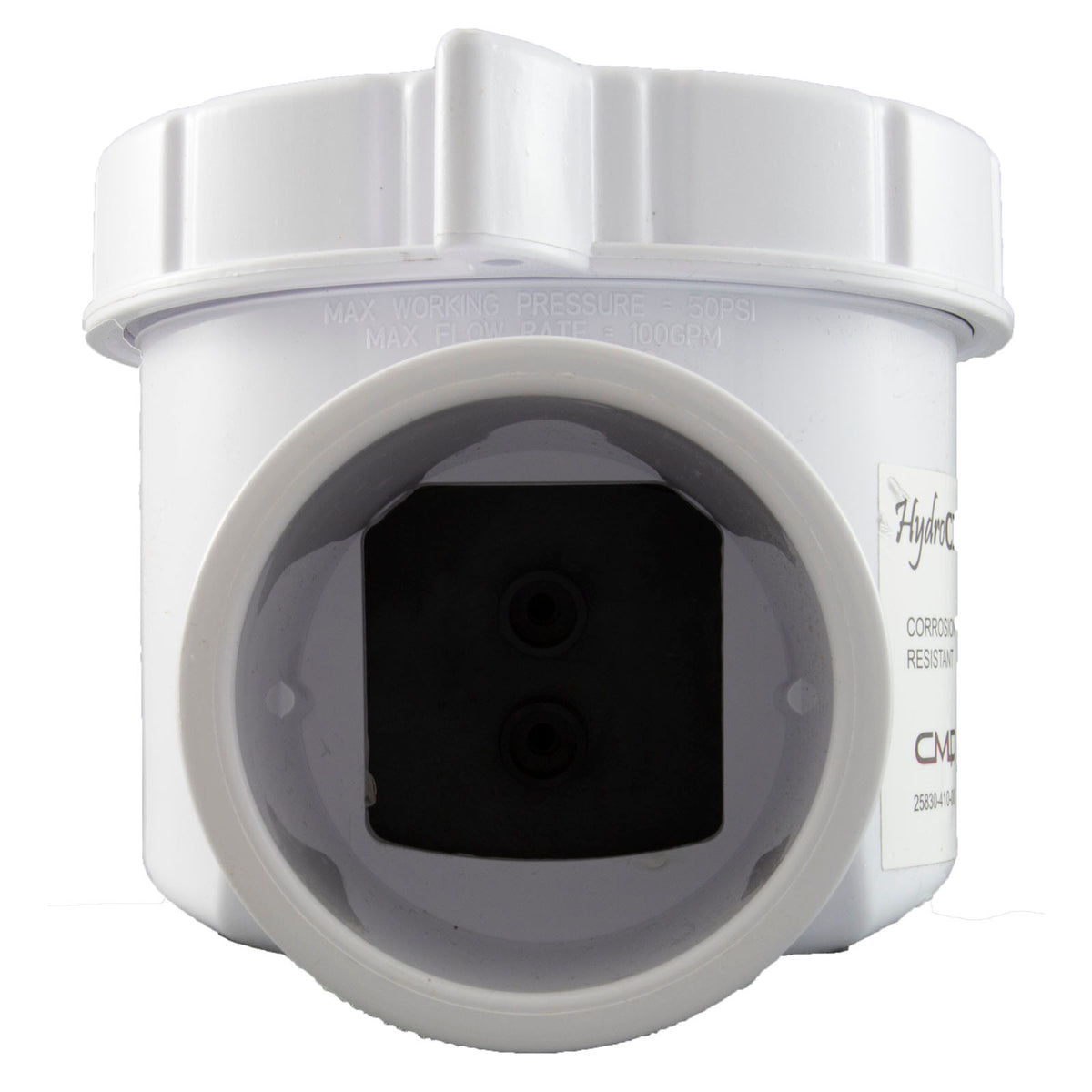 Corrosion Resistant Serviceable Check Valve, 2In, White