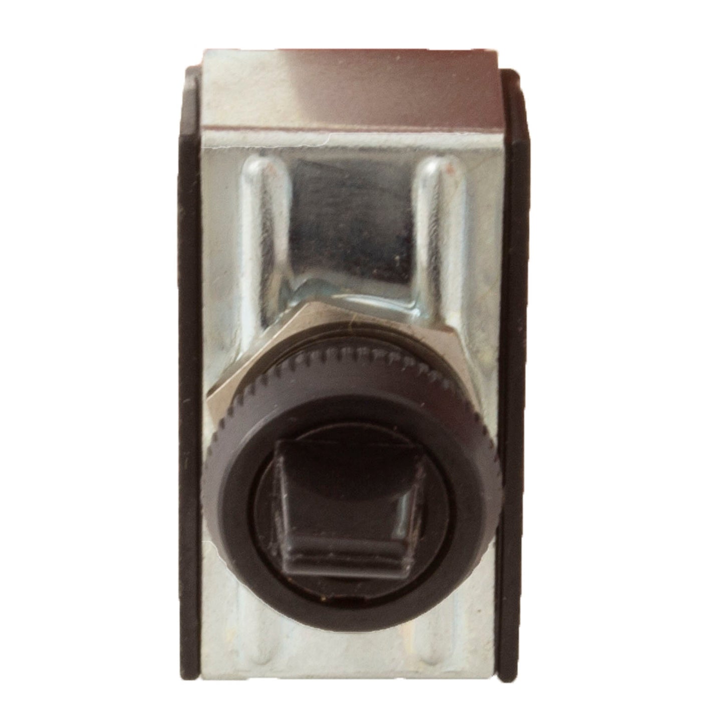 Toggle Switch, Raypak, 3A/6A, SPST, Black