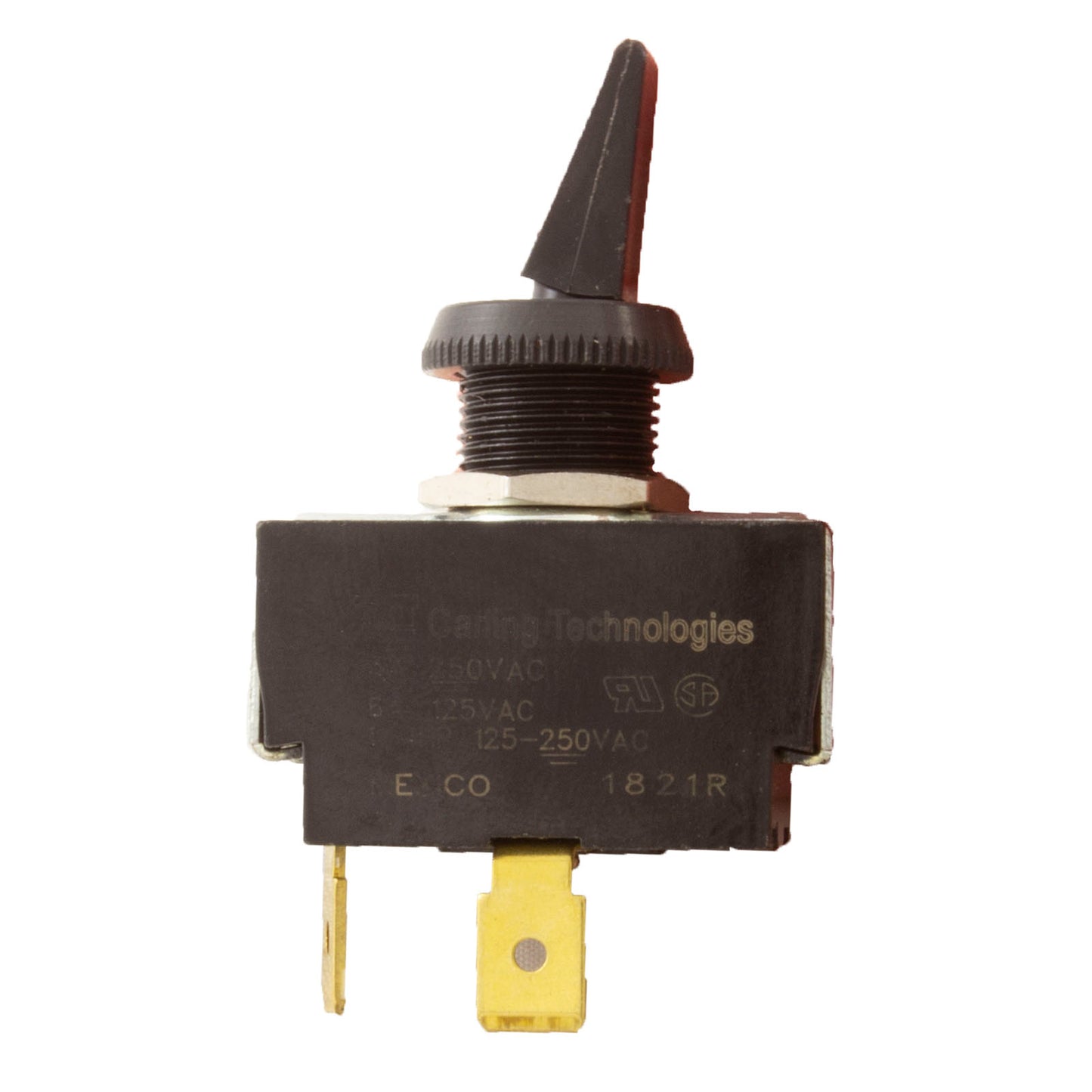 Toggle Switch, Raypak, 3A/6A, SPST, Black