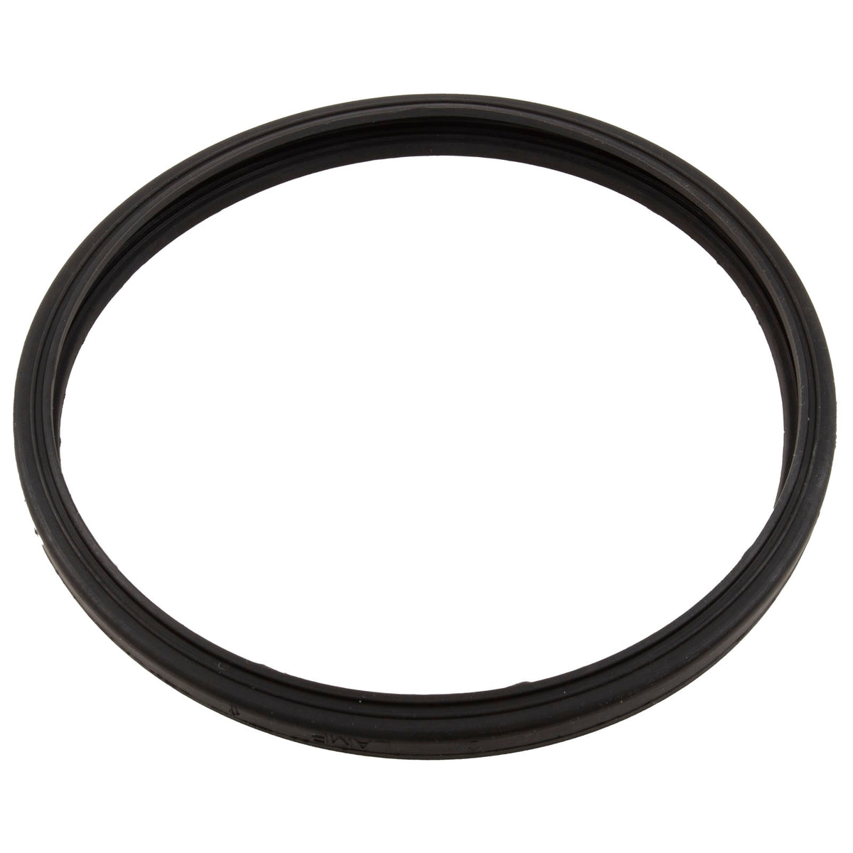 Gasket, Sta-Rite Sunbrite/Sunglow, Light Lens