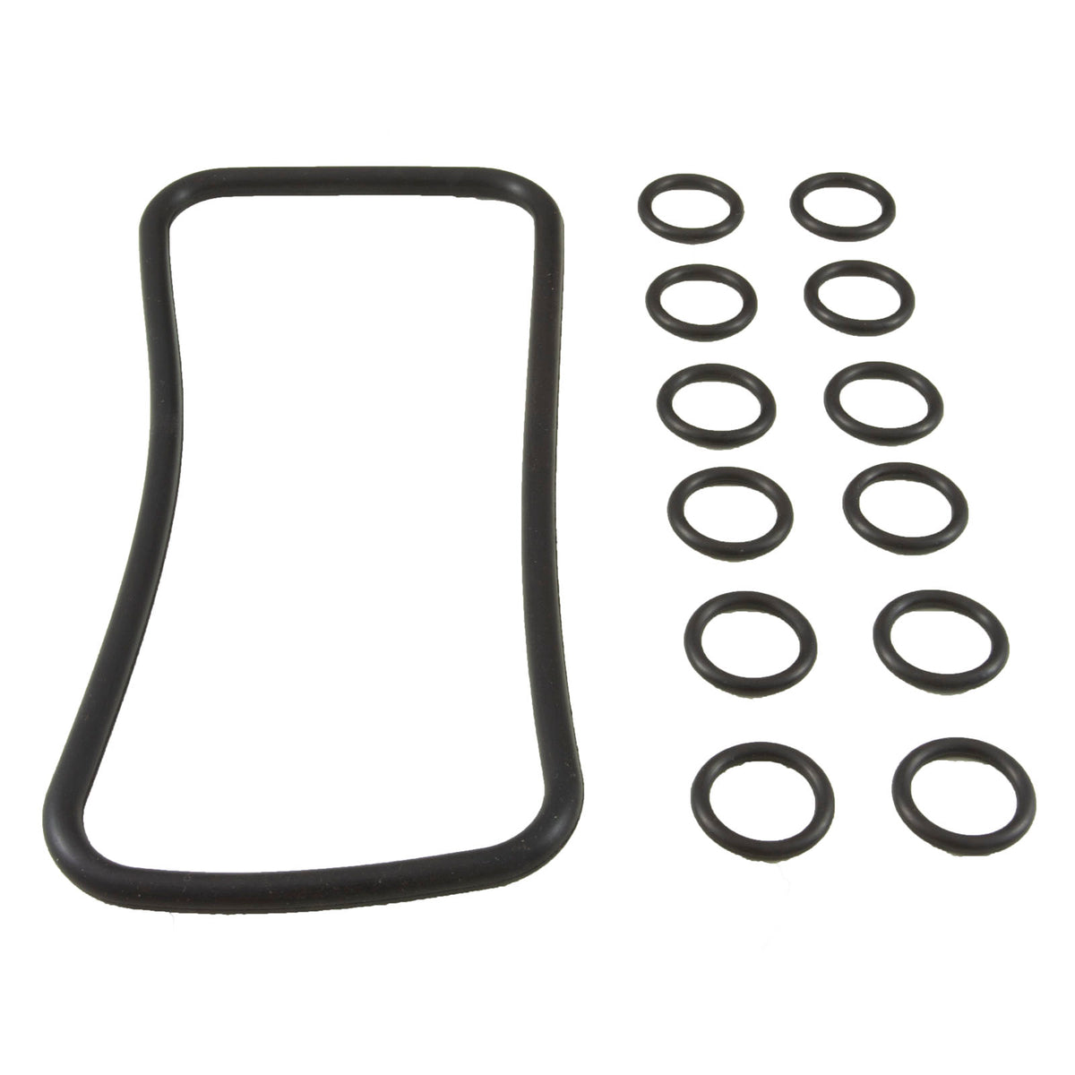 O-Ring, Kit Pentair MasterTemp/Max-E-Therm, Manifold