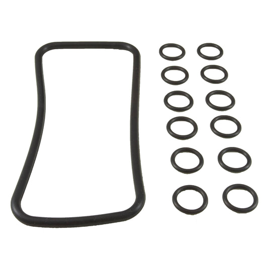 Joint torique, kit Pentair MasterTemp/Max-E-Therm, collecteur