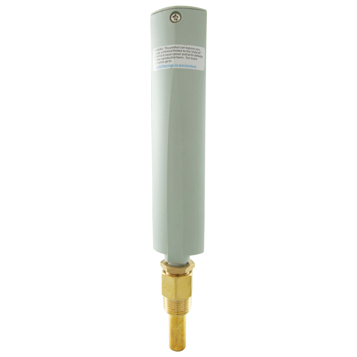 Thermometer, Raypak, Brass, Straight