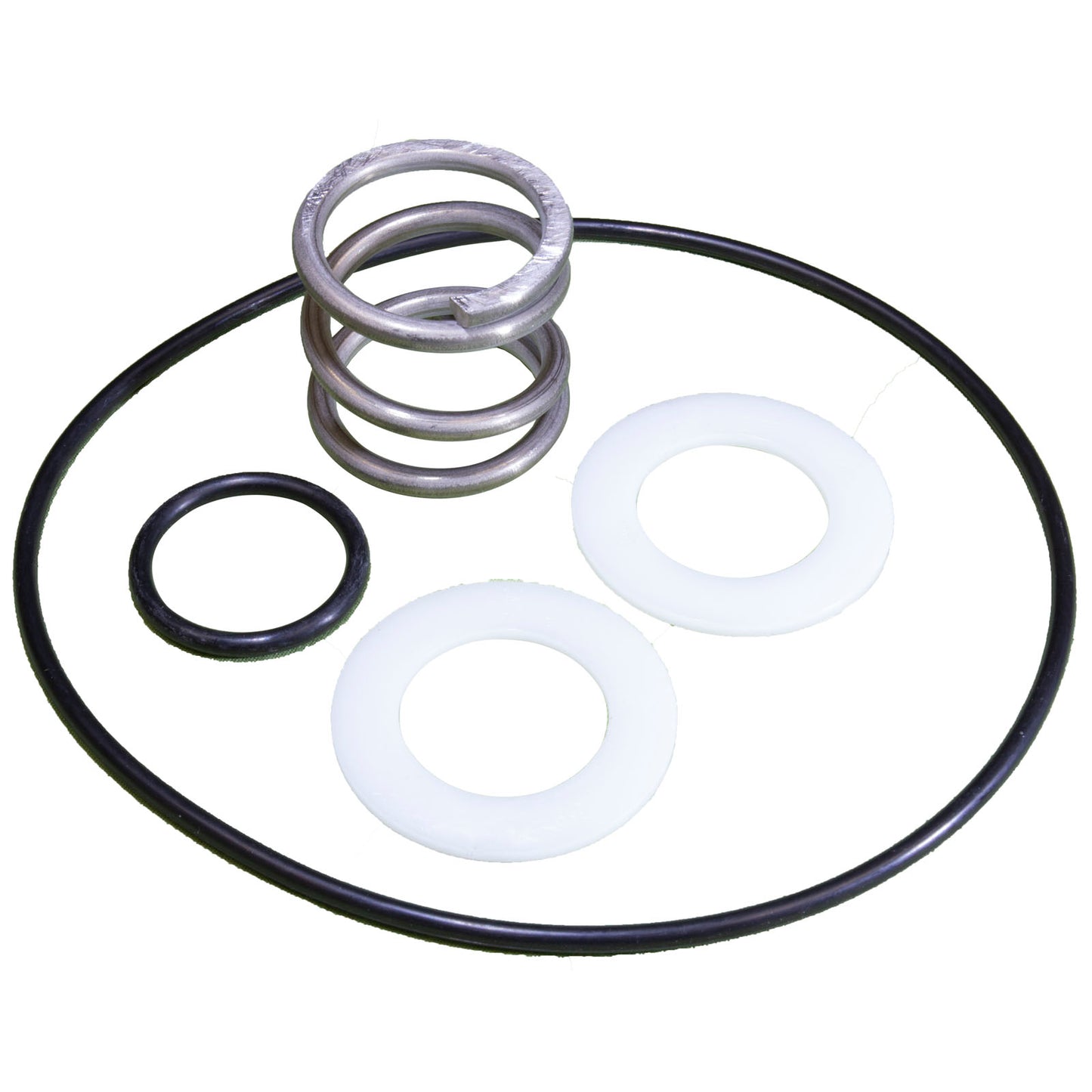 14962-0035 Pentair Spring & O-Ring Kit