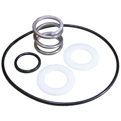 14962-0035 Pentair Spring & O-Ring Kit