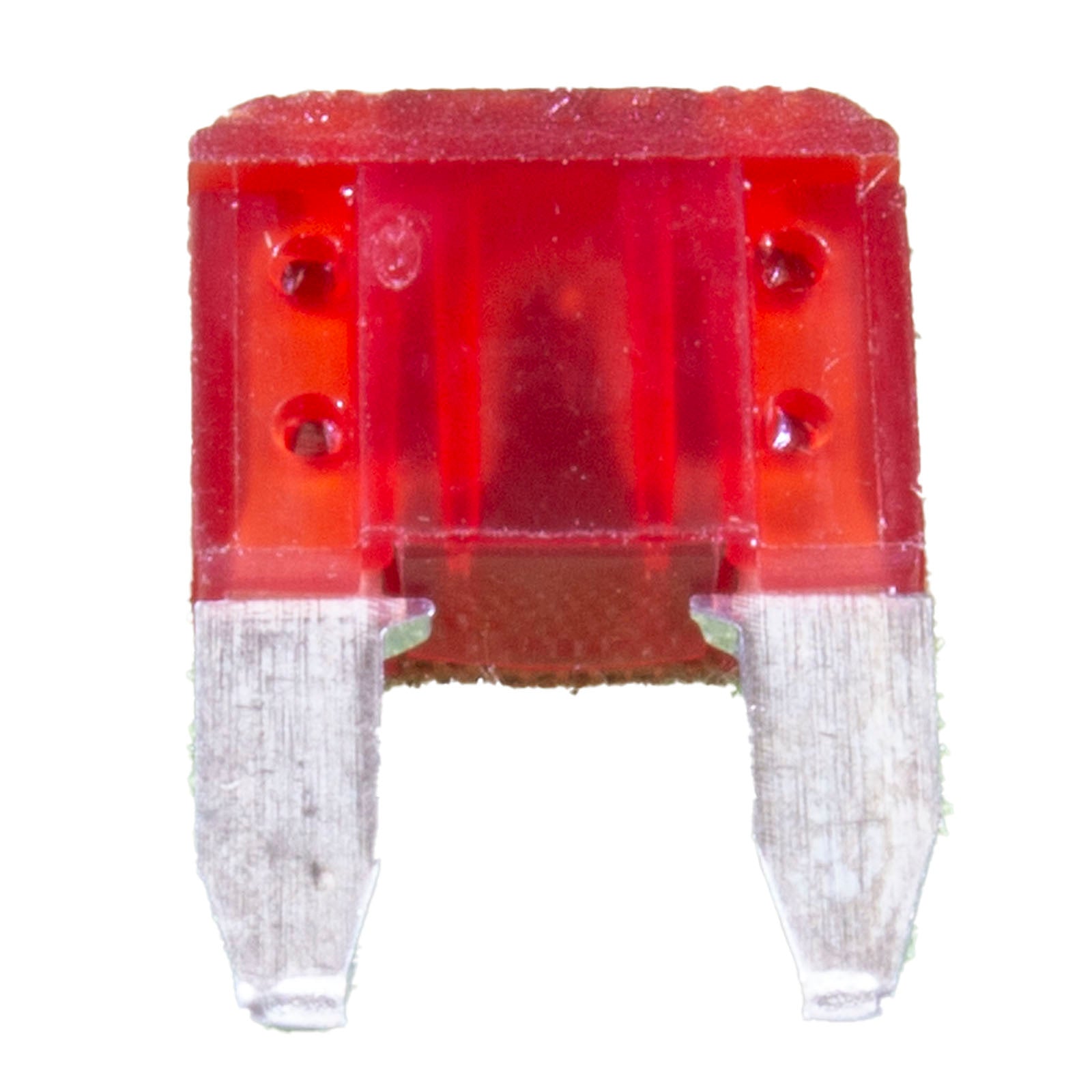 Fuse, Pentair IntelliChlor Power Cntr, Mini Blade, 10A, Qty 5
