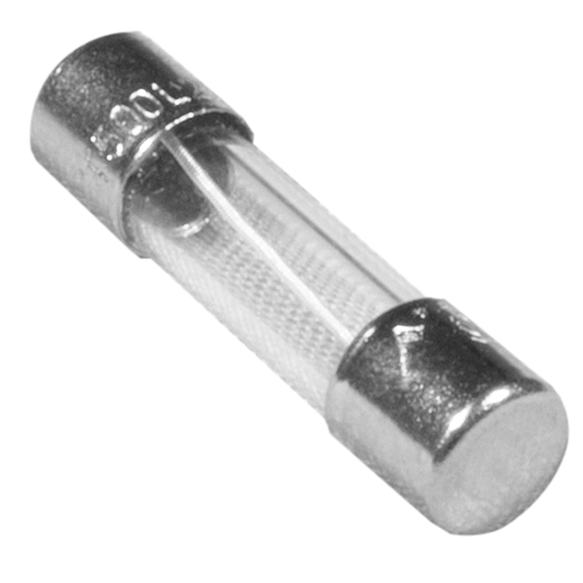 Fuse, Slo Blo, Balboa Water Group, 0.5A, 250v, 5mm x 20mm
