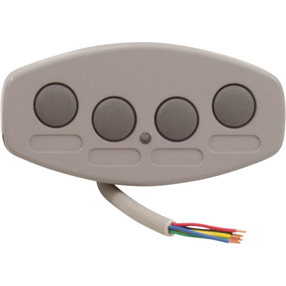 Panel de control Pentair IS4, cable de 100 pies, gris
