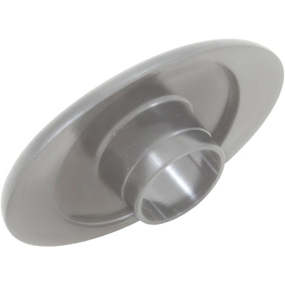 Panel de control Pentair IS4, cable de 100 pies, gris