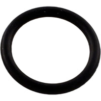 192115Z Pentair Drain Plug O-130 IntelliFlo XF/EQ Series