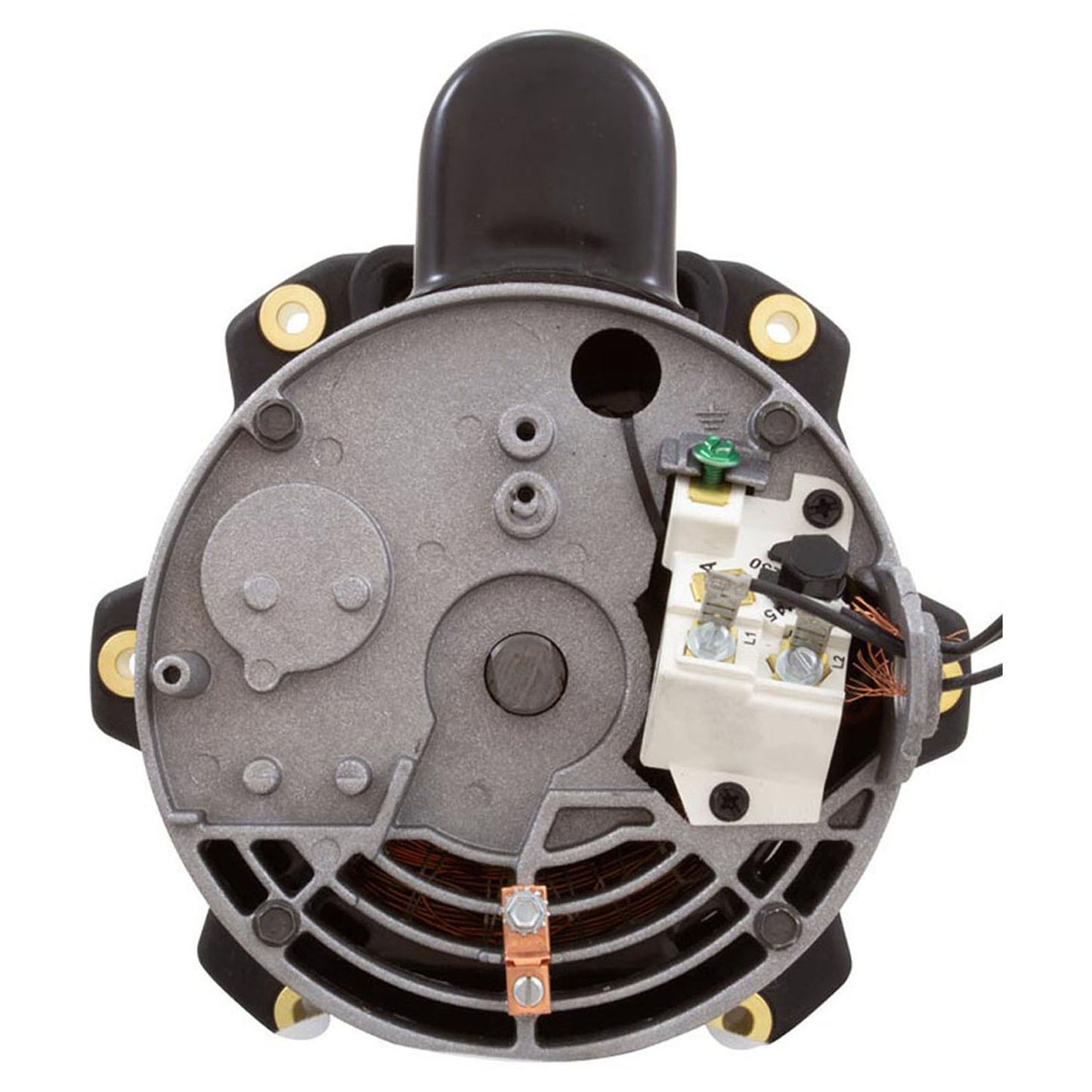 Moteur à entraînement direct - 3/4 CV, Tristar, Maxrate