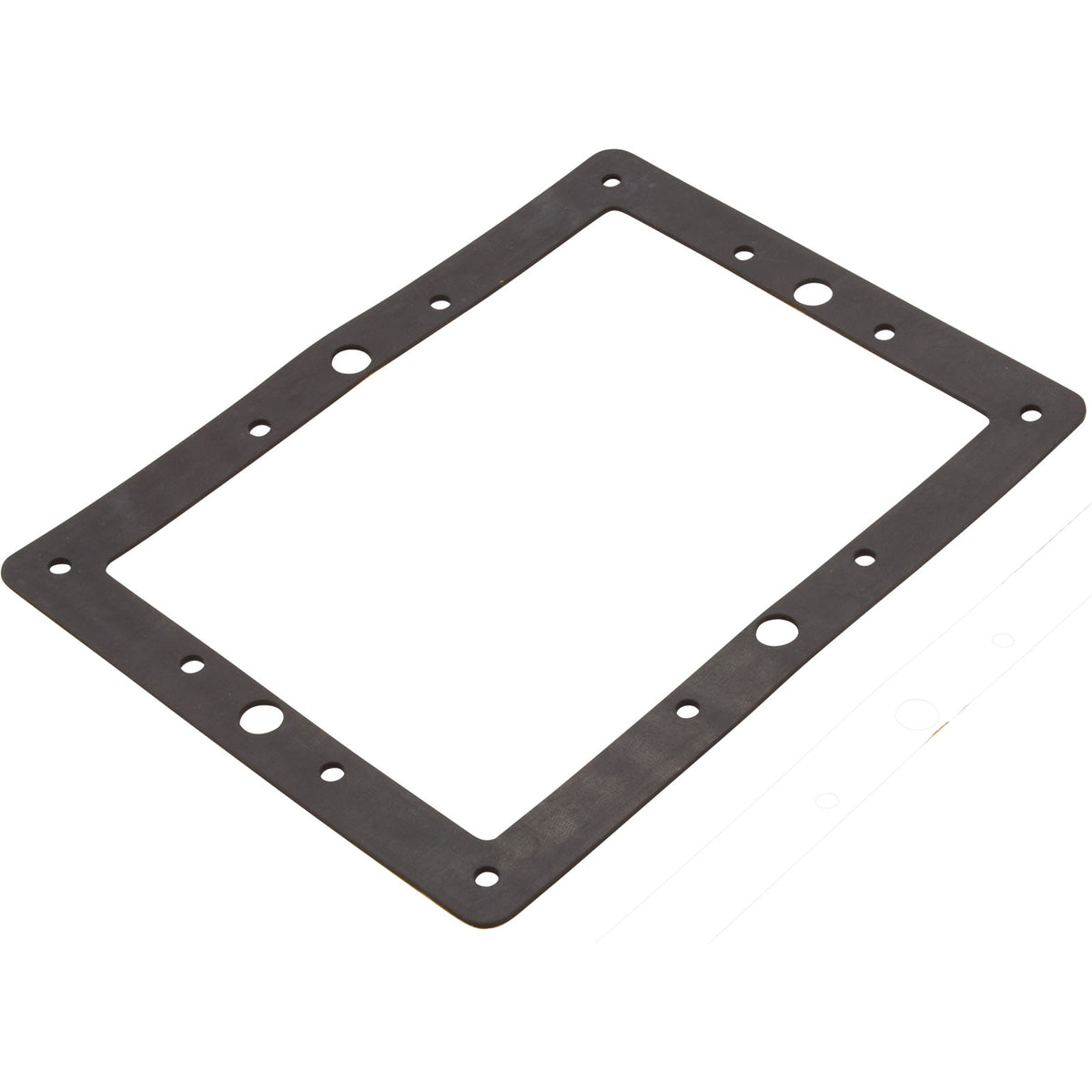 Gasket, Astral, Small Skimmer