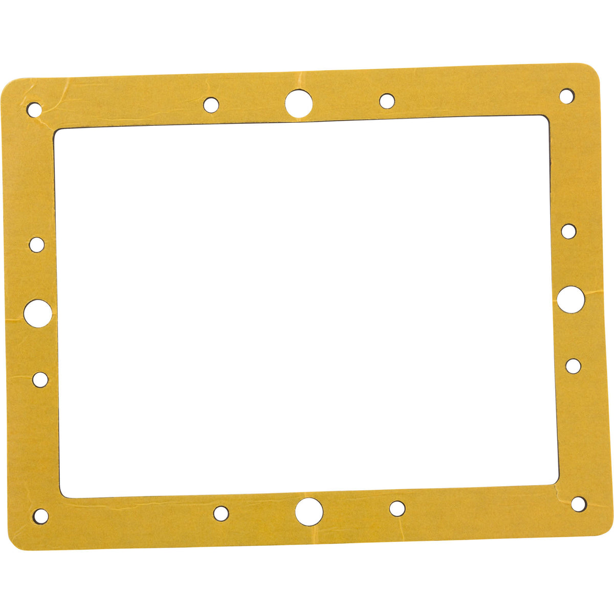 Gasket, Astral, Small Skimmer