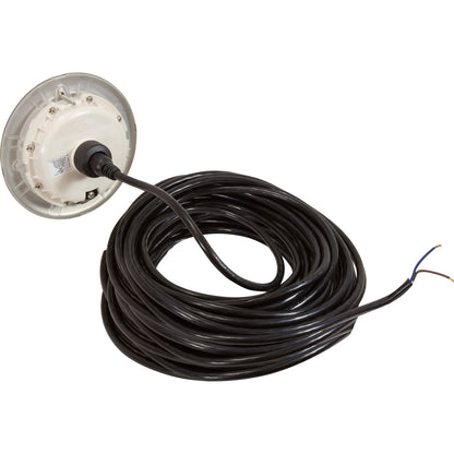 Lámpara de nicho pequeña PAL EvenGlow, luz blanca fría, 12 V, 80 pies