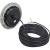 PAL EvenGlow Lrg Niche Lt, Cool White, 12v ac/dc, 150ft, SS Esc