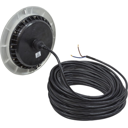 Lámpara de nicho grande PAL EvenGlow Lt, blanca fría, 12 V CA/CC, 150 pies, esc de acero inoxidable