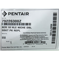 Screw Kit, Pentair, 10-Hole Niche