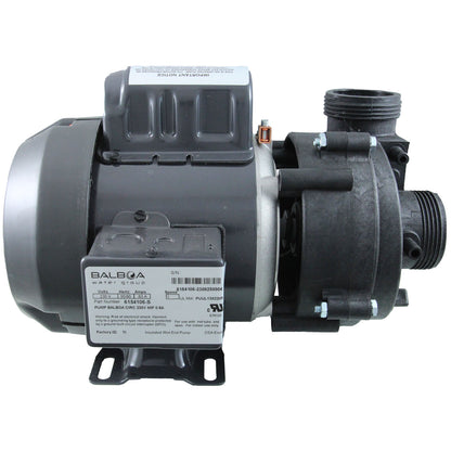 Bomba de circulación BWG, 1/15 hp, 230 V, 0,7 A, 48 Fr, 1-1/2"