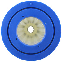 Pentair Quad DE Replacement Cartridge (178656Z)