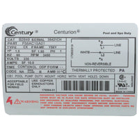 Motor, Century, 1.5hp, 1-Spd, 230v, SQFL, 56Y Frame