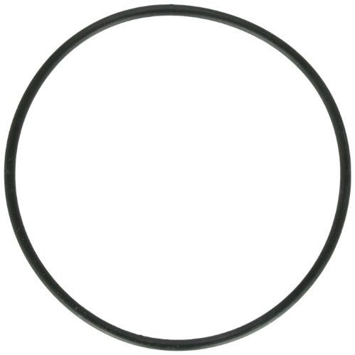 1132+ Zodiac Jandy Lid O-Ring