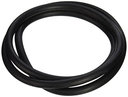 152127 Pentair Oring 18" Tank Pacfab