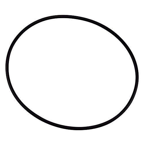 154493 Pentair O-Ring Tr Dome,Black