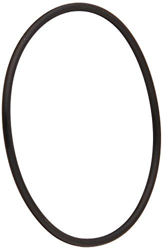 192320 Pentair O-Ring - Bulkhead