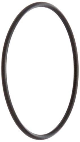 192323 Pentair O-Ring 2" Pacfab