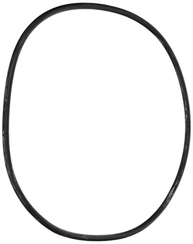 25230-0010S Pentair Tank O-Ring