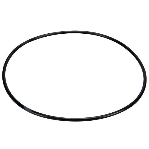 271151 Pentair Pentair Valve Top-O-Ring