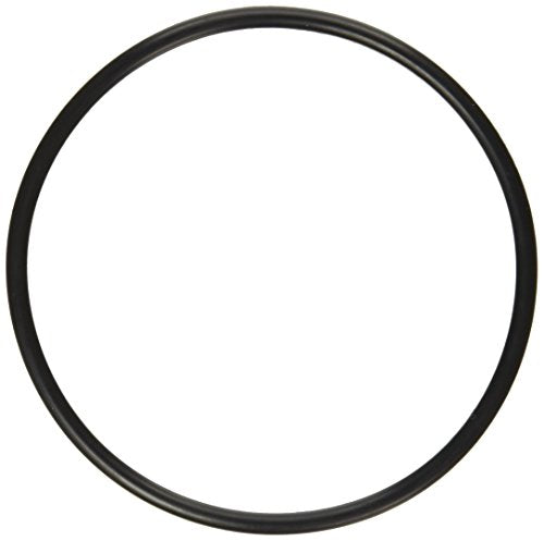 272541 Pentair Pacfab Valve Oring
