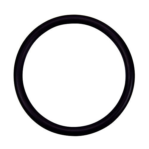 274494 Pentair Pacfab 2" Bulkhead Adapter Oring