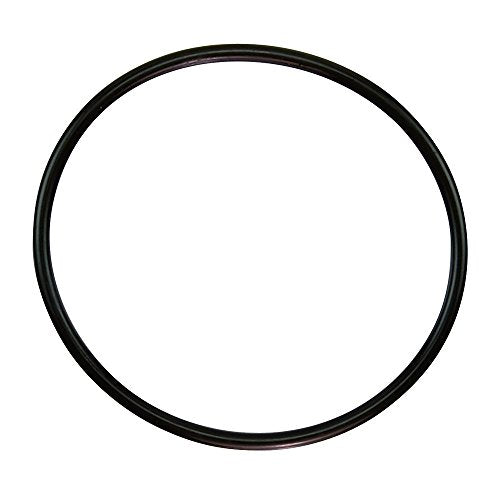 350013Z Pentair Lid O-Ring