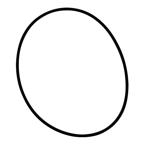 35505-1273 Pentair O Ring U3 Float S.Q.