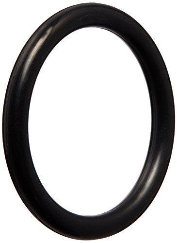 35505-1313 Pentair O-Ring